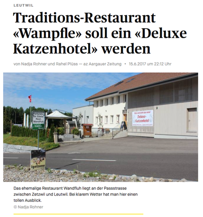 Deluxe Katzenhotel Pressebericht