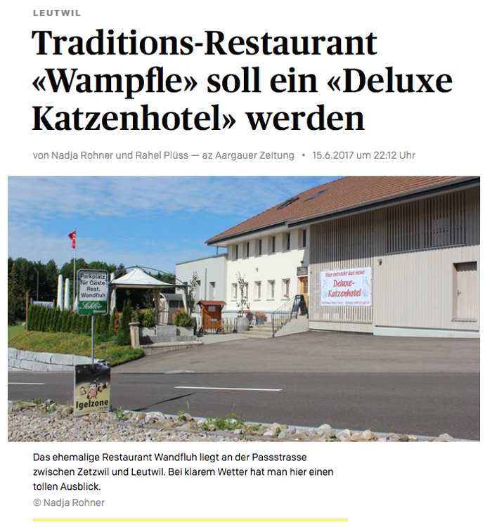 Deluxe Katzenhotel Pressebericht