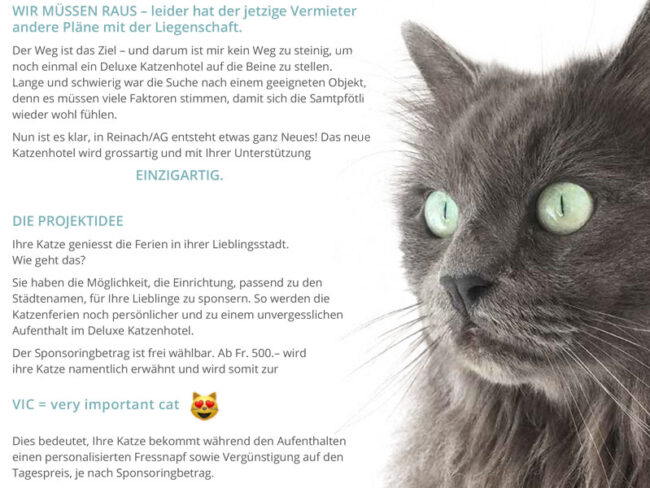 Sponsoring Flyer für neues Deluxe Katzenhotel in Reinach