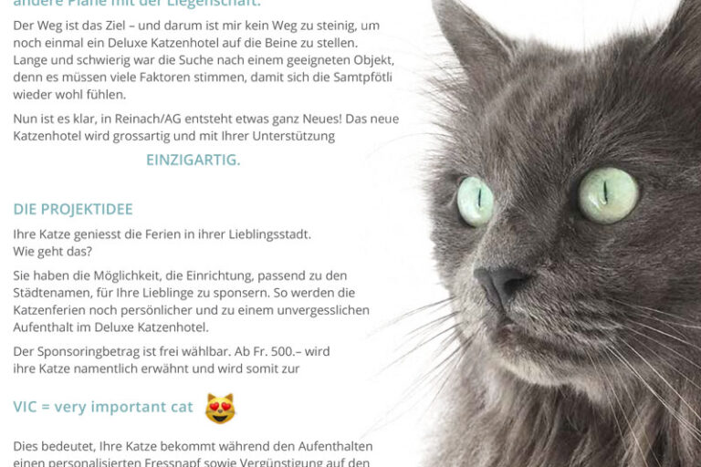 Sponsoring Flyer für neues Deluxe Katzenhotel in Reinach
